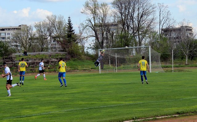 Zoom in Волов - Локо (Русе)